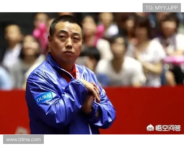 南京乒乓球队灵活性引发热议球迷与专家观点交锋探讨球队未来发展